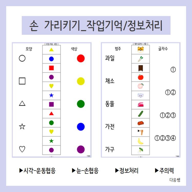 손 가리키기_작업기억/정보처리 [다움쌤]